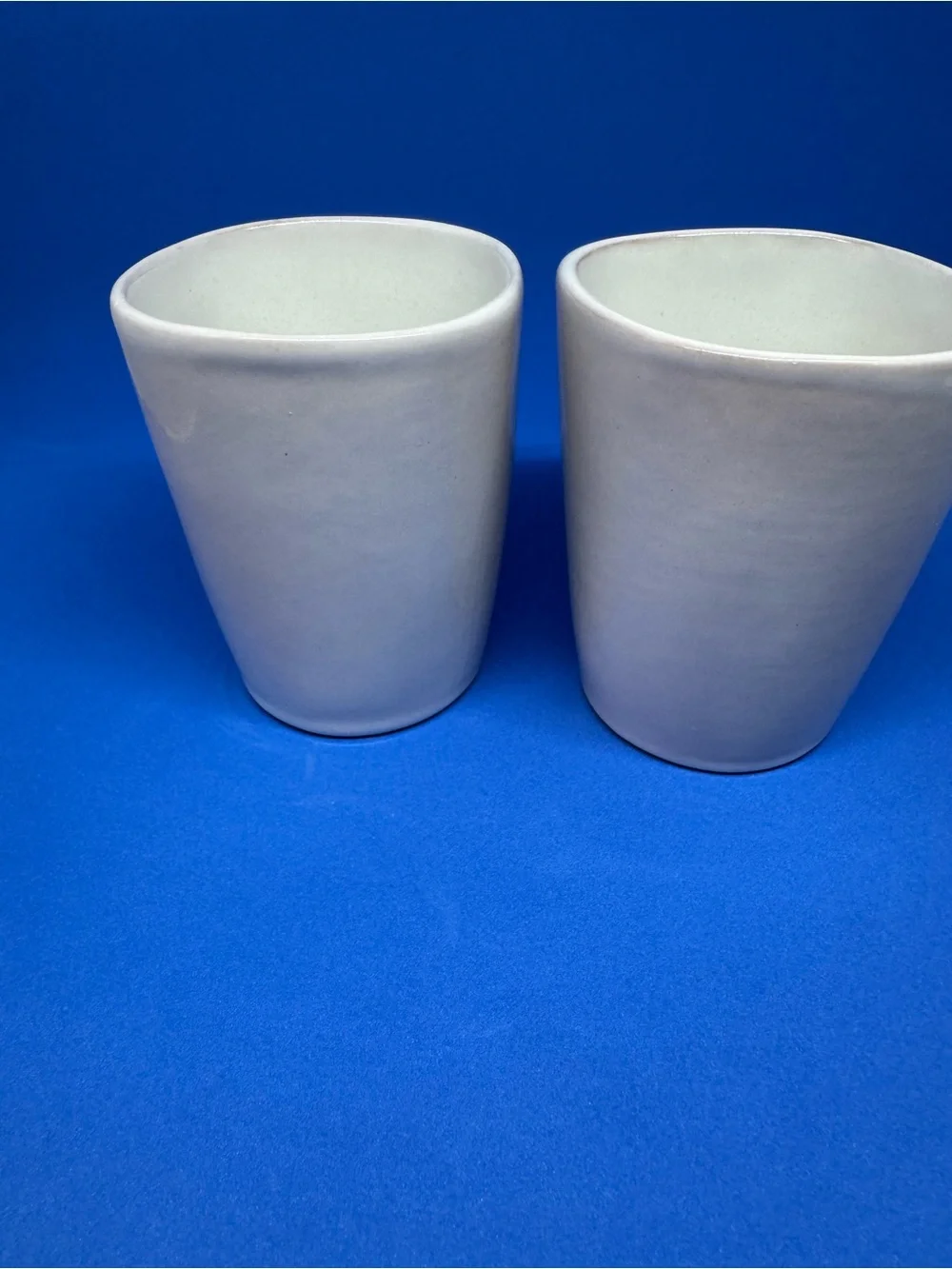 Frankoma White Ceramic Cups with Bluebonnet Floral Design (Pair)